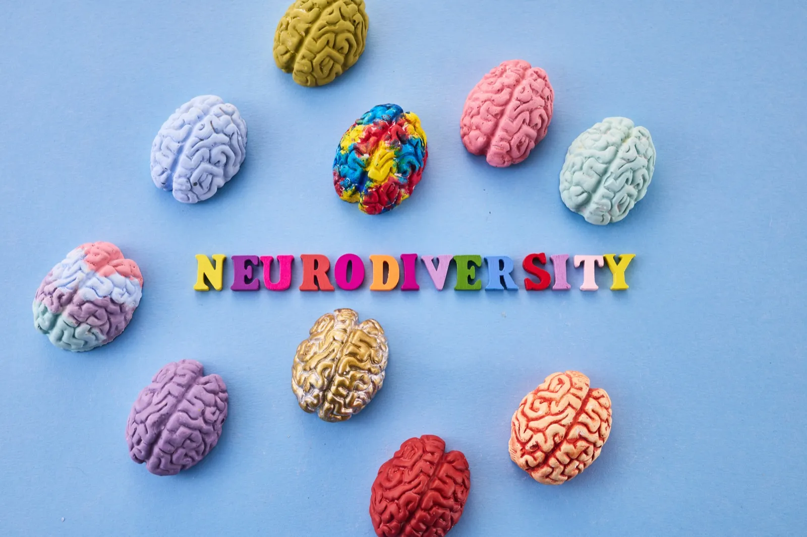 Colourful model brains around the word neurodiversity